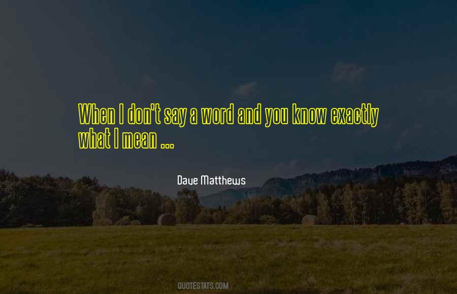Dave Matthews Quotes #371605