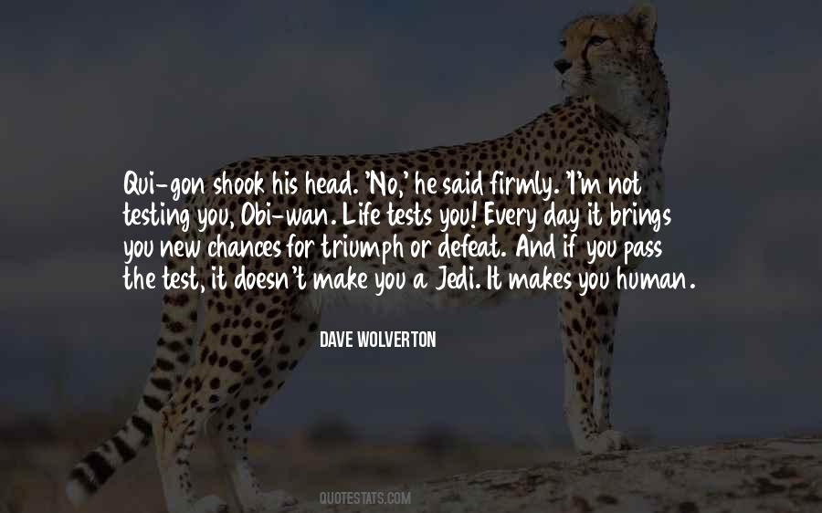 Dave Wolverton Quotes #1404831