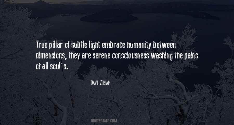 Dave Zebian Quotes #223486