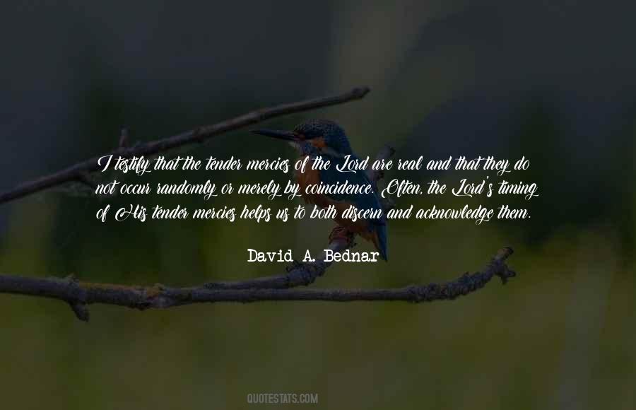 David A. Bednar Quotes #1143293