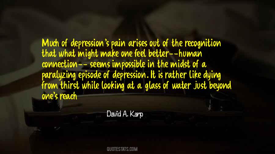 David A. Karp Quotes #954635 David A. Karp Quotes #954635