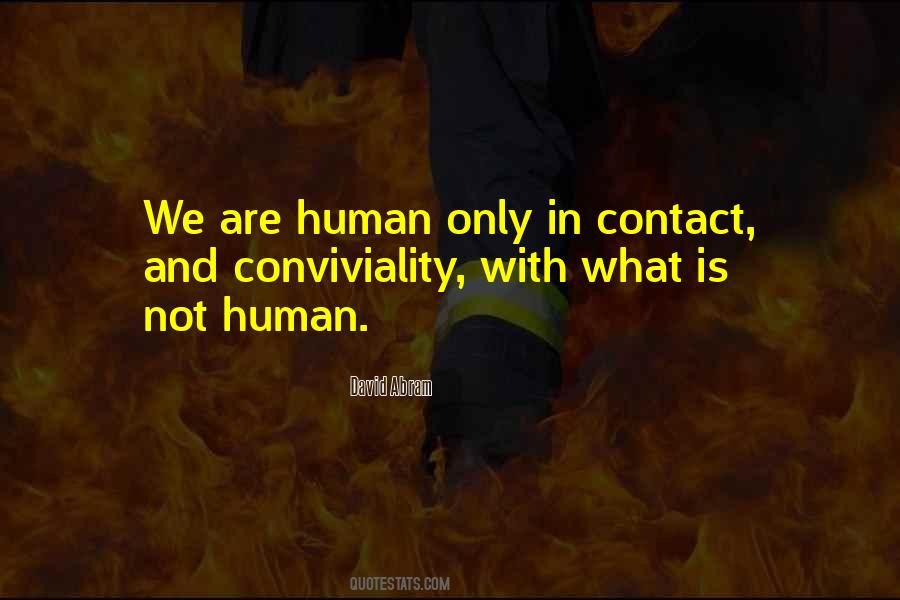 David Abram Quotes #544038