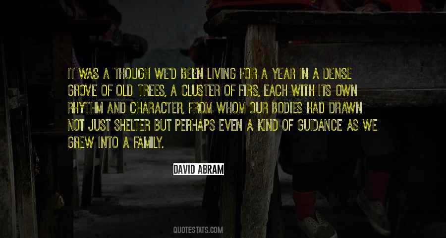 David Abram Quotes #960952