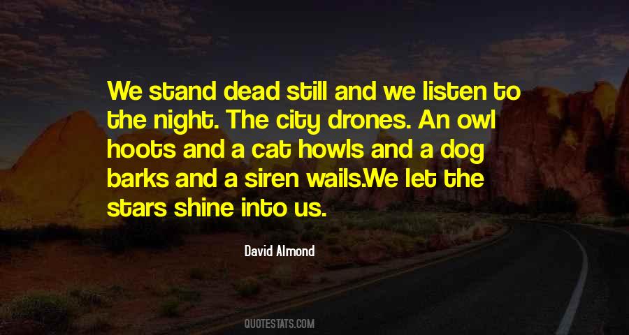 David Almond Quotes #1807314