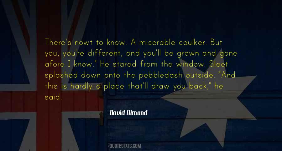 David Almond Quotes #708978