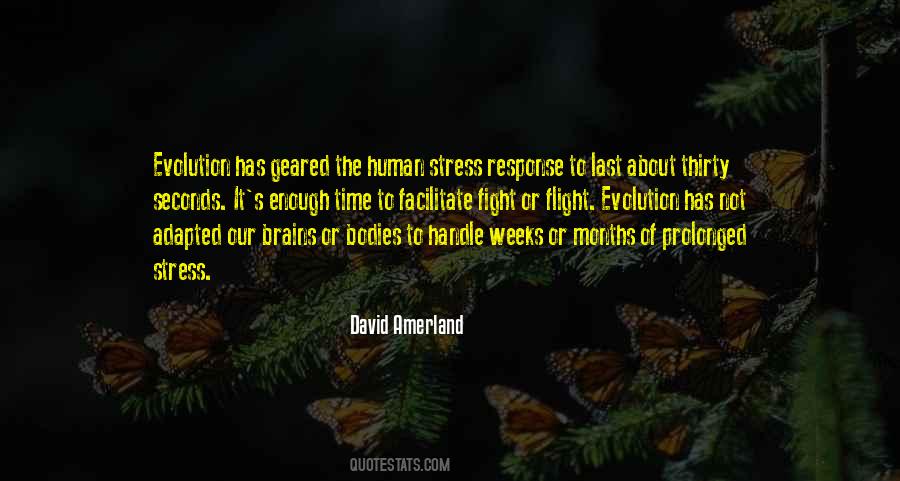 David Amerland Quotes #480973