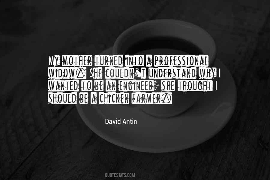 David Antin Quotes #1607826