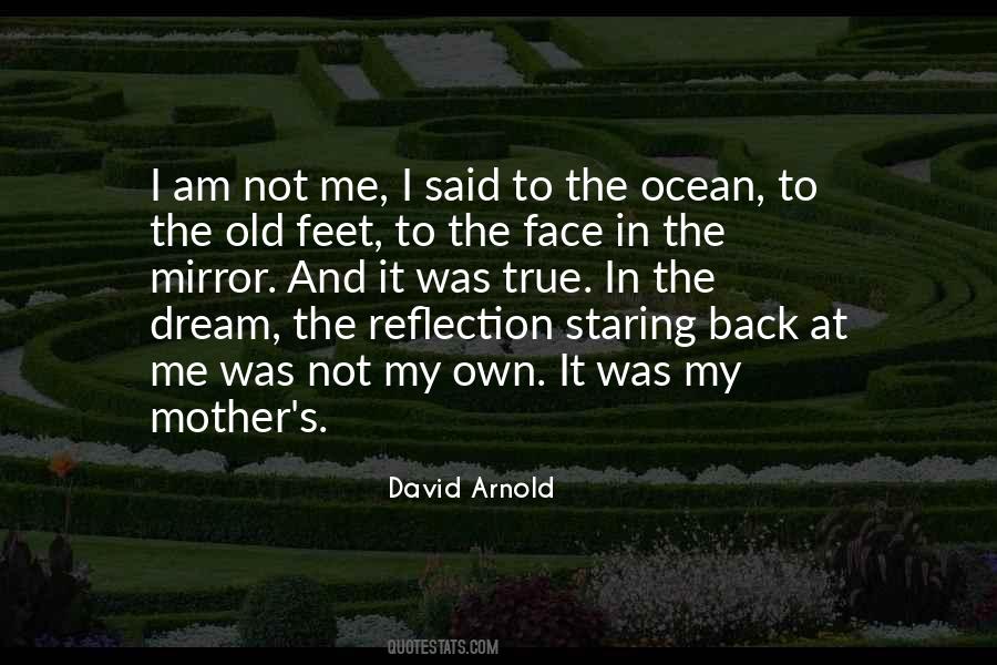 David Arnold Quotes #710373