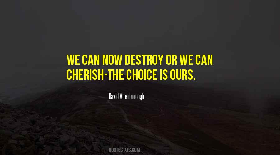 David Attenborough Quotes #264206