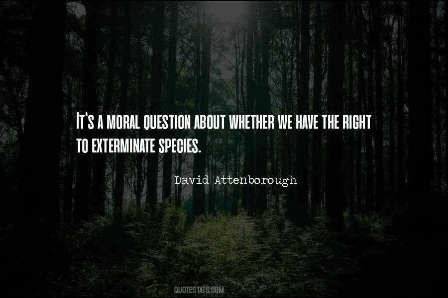 David Attenborough Quotes #528907