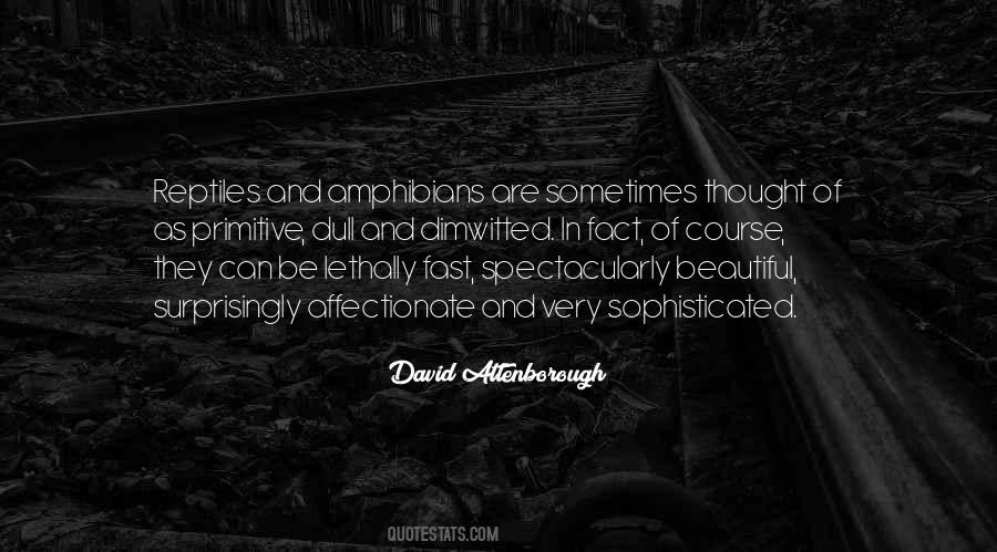 David Attenborough Quotes #584509