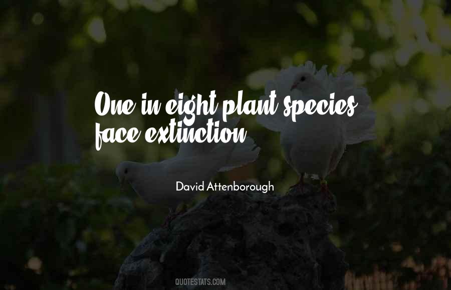 David Attenborough Quotes #721913