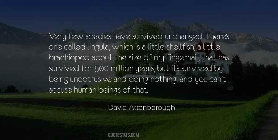 David Attenborough Quotes #845505