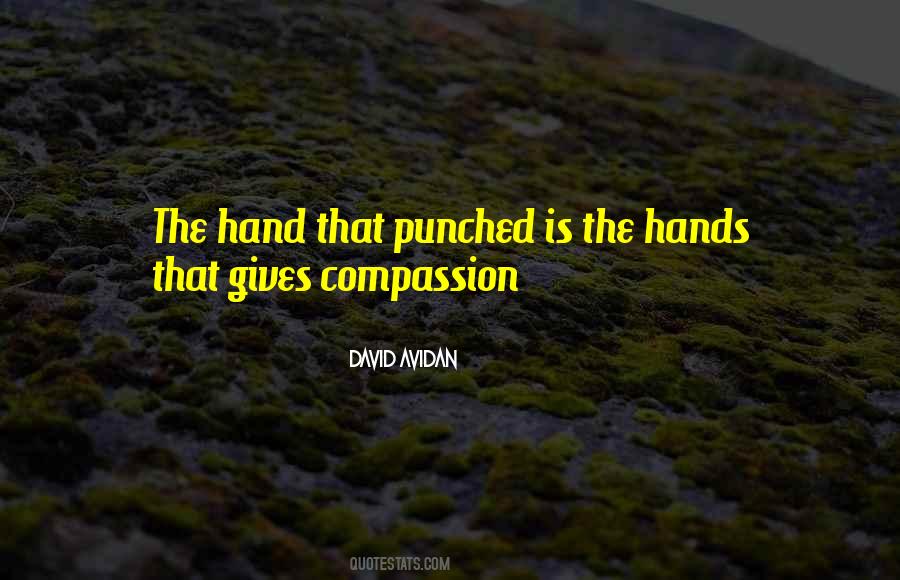 David Avidan Quotes #1861886