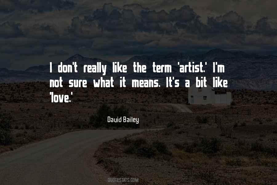 David Bailey Quotes #37395