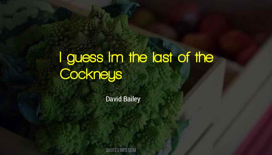 David Bailey Quotes #555380