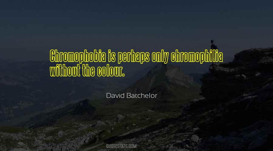 David Batchelor Quotes #366366