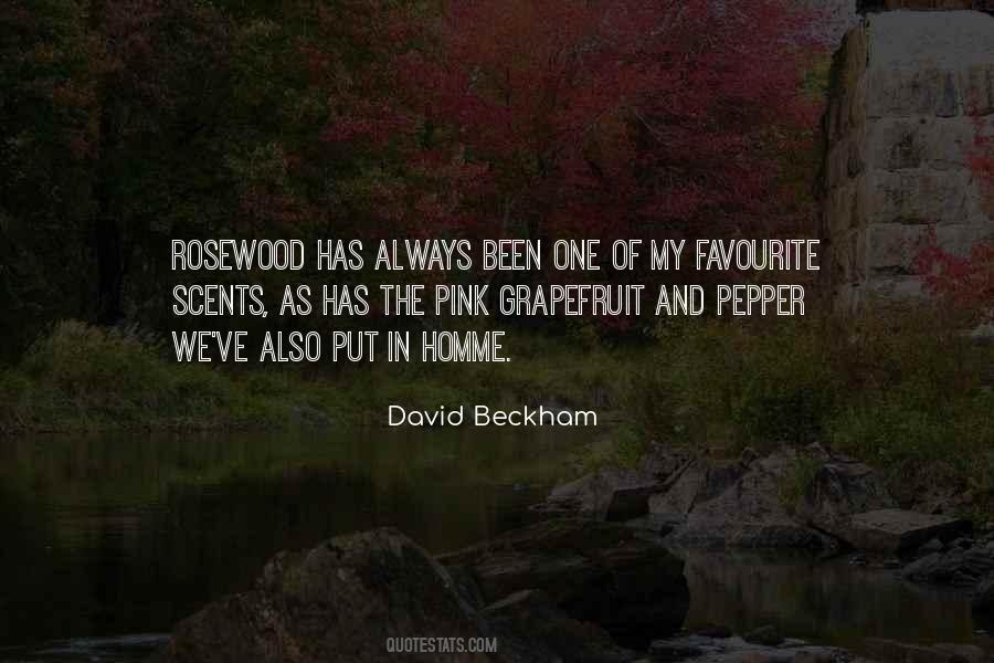 David Beckham Quotes #1191513