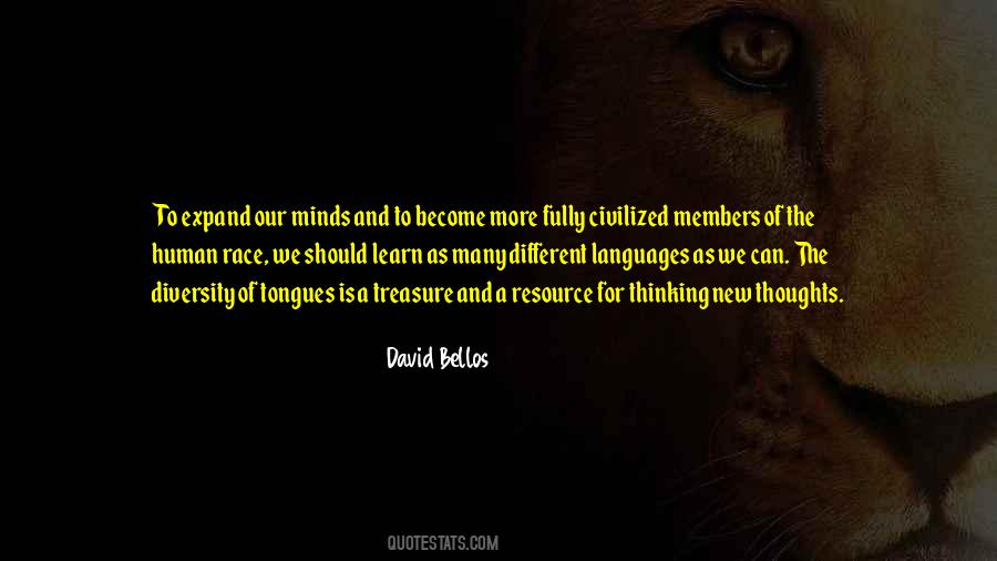 David Bellos Quotes #1397033