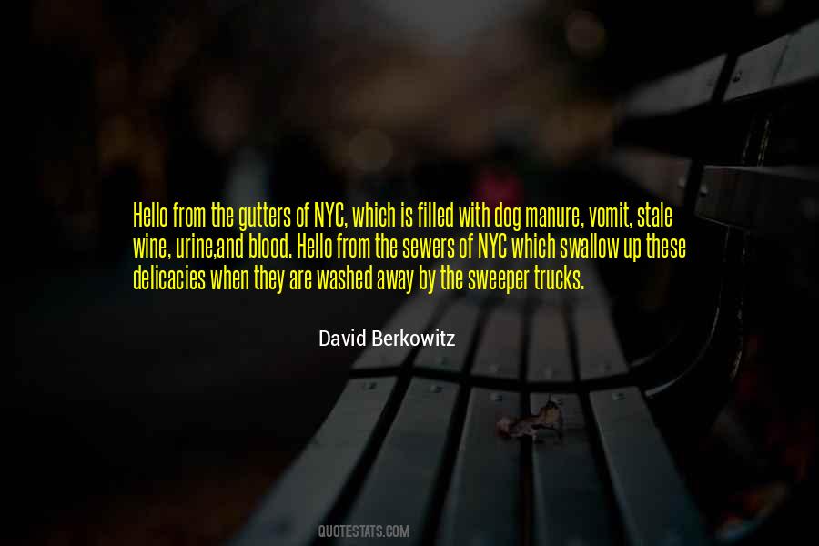 David Berkowitz Quotes #4009
