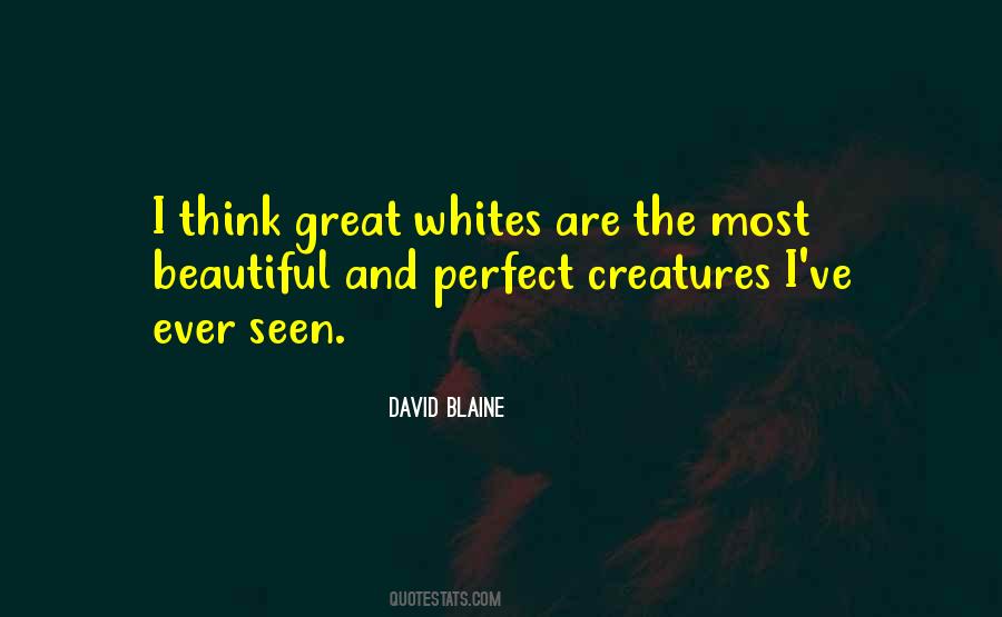 David Blaine Quotes #1037381