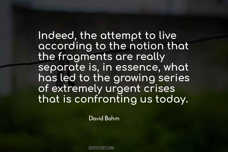David Bohm Quotes #551788