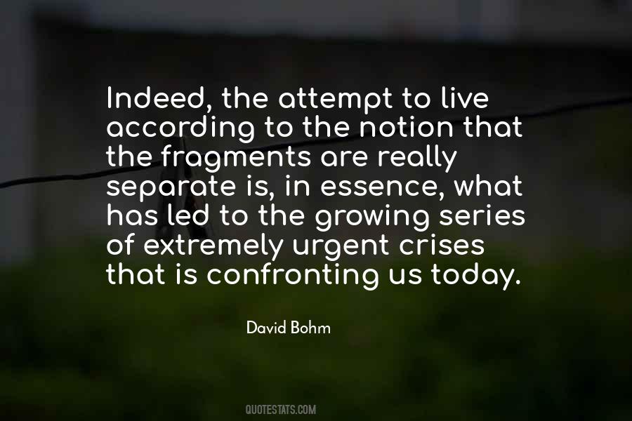 David Bohm Quotes #551788 David Bohm Quotes #551788