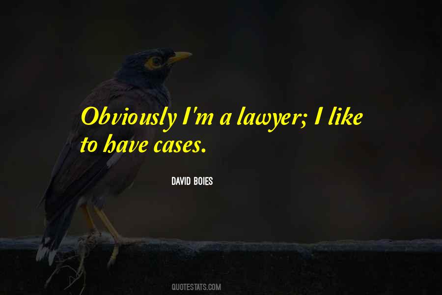 David Boies Quotes #1083012