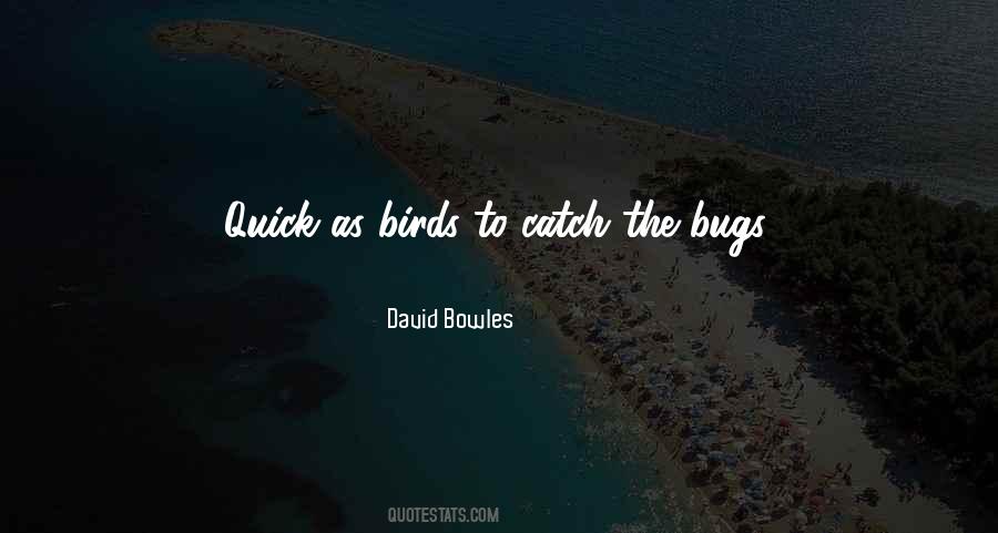 David Bowles Quotes #1576499