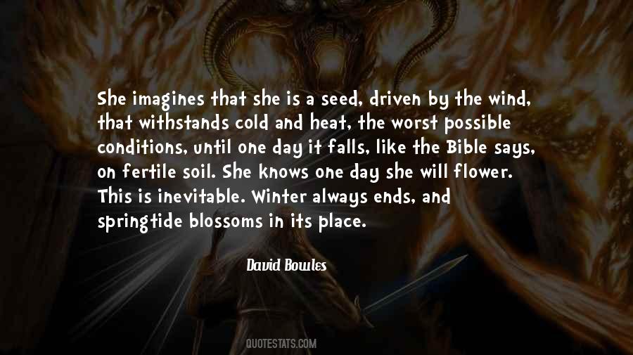 David Bowles Quotes #724481