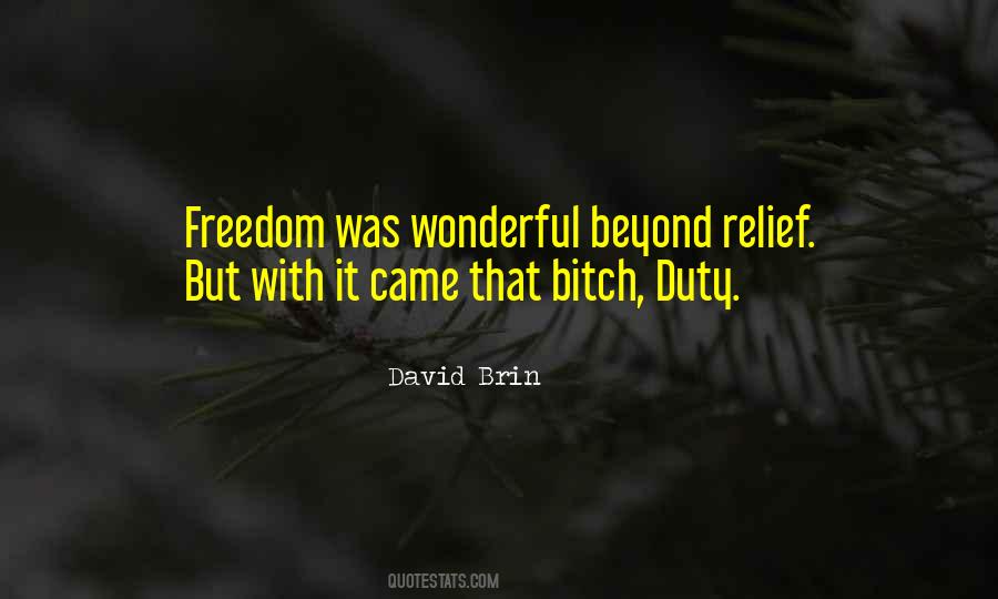 David Brin Quotes #994562