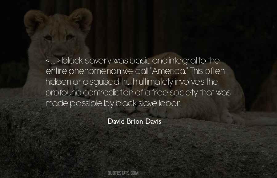 David Brion Davis Quotes #1464525