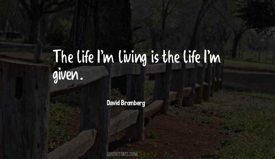 David Bromberg Quotes #305959