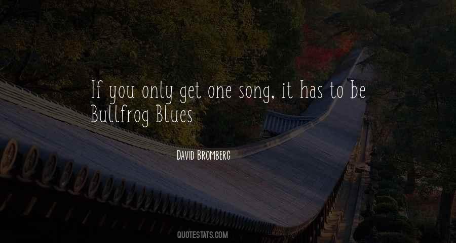 David Bromberg Quotes #907809
