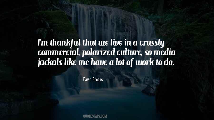 David Brooks Quotes #1136723