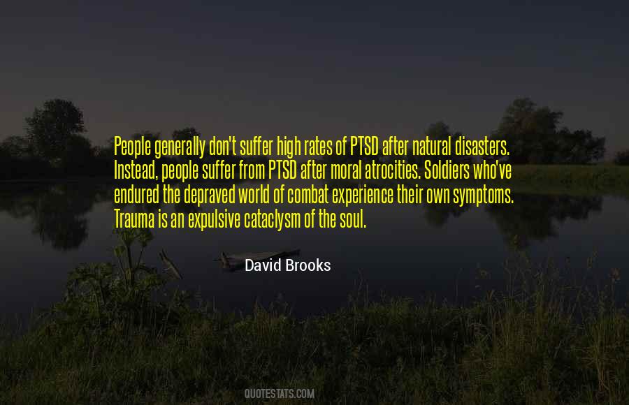 David Brooks Quotes #1224504