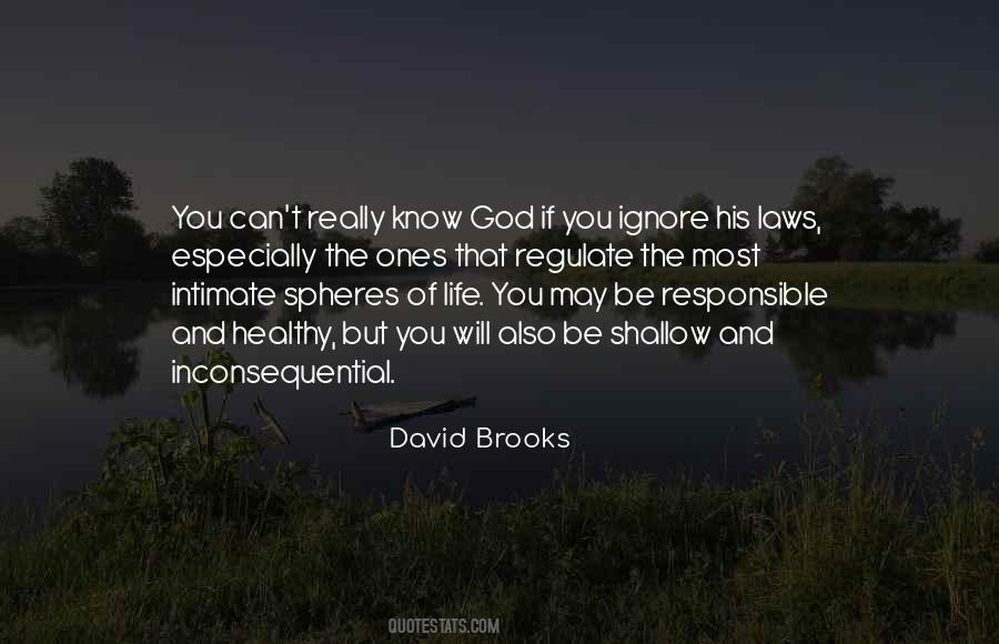 David Brooks Quotes #1523909