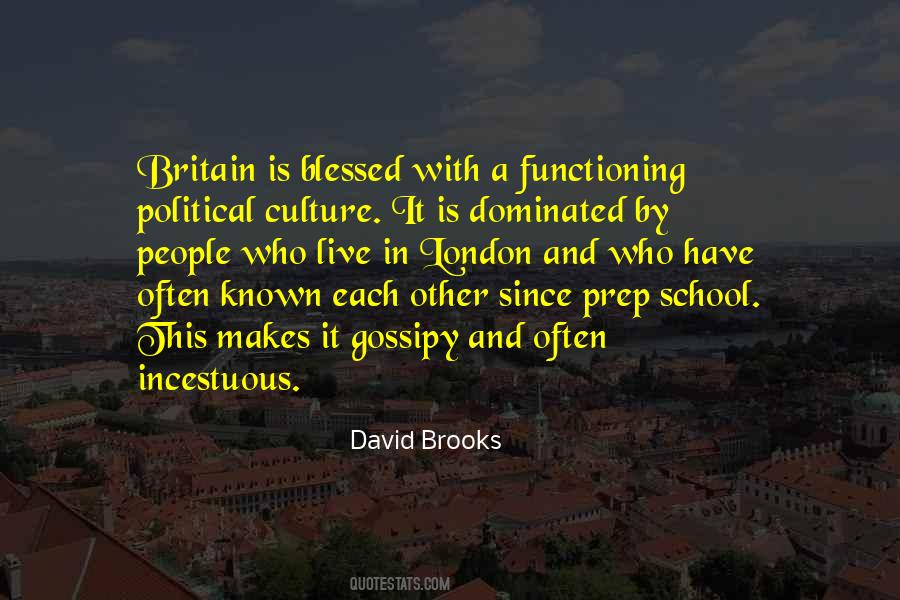 David Brooks Quotes #467304