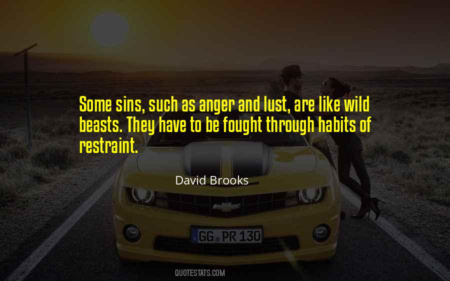 David Brooks Quotes #957452