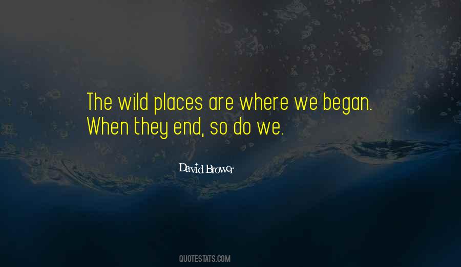David Brower Quotes #1109457