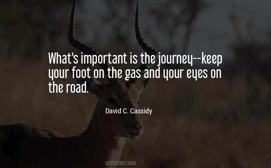 David C. Cassidy Quotes #564088