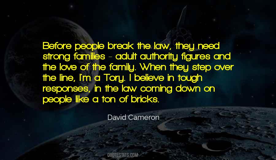 David Cameron Quotes #522171