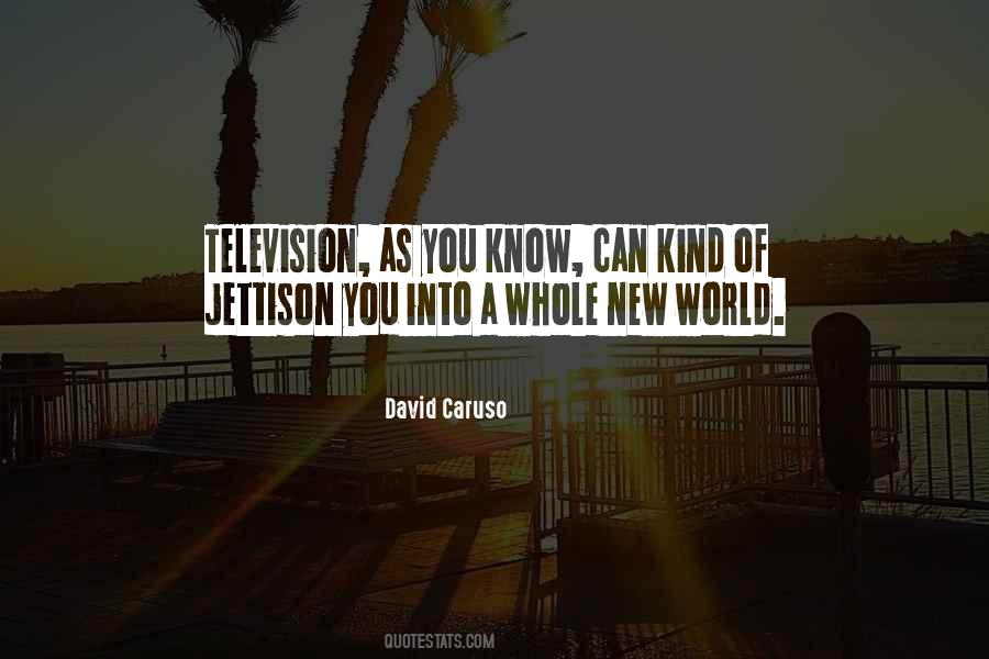 David Caruso Quotes #1720642