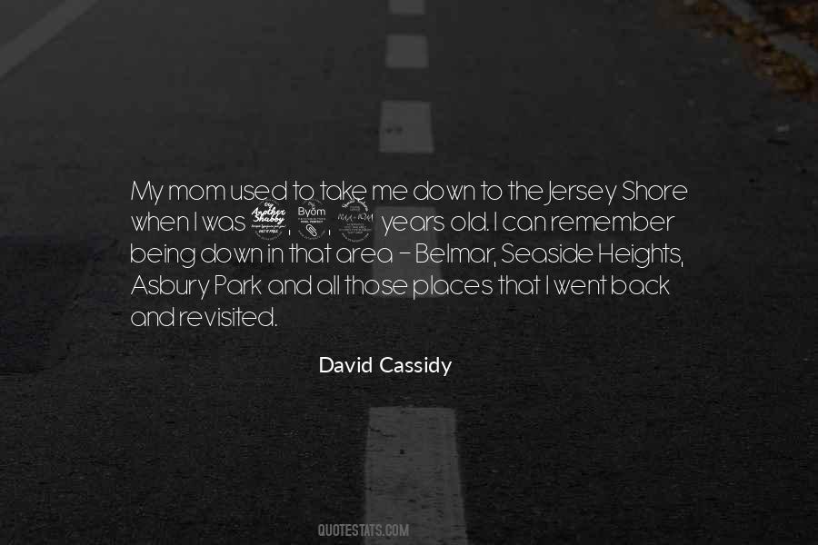 David Cassidy Quotes #754820