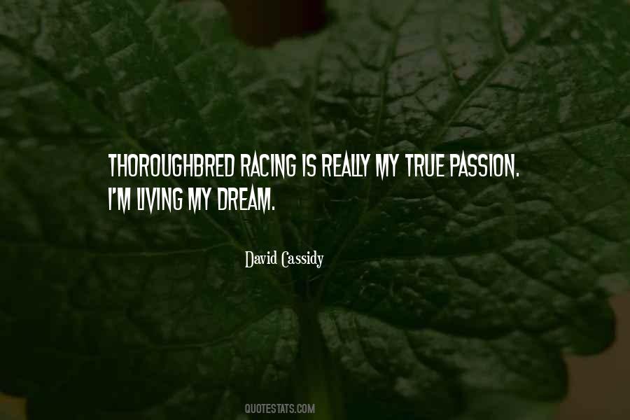 David Cassidy Quotes #952828