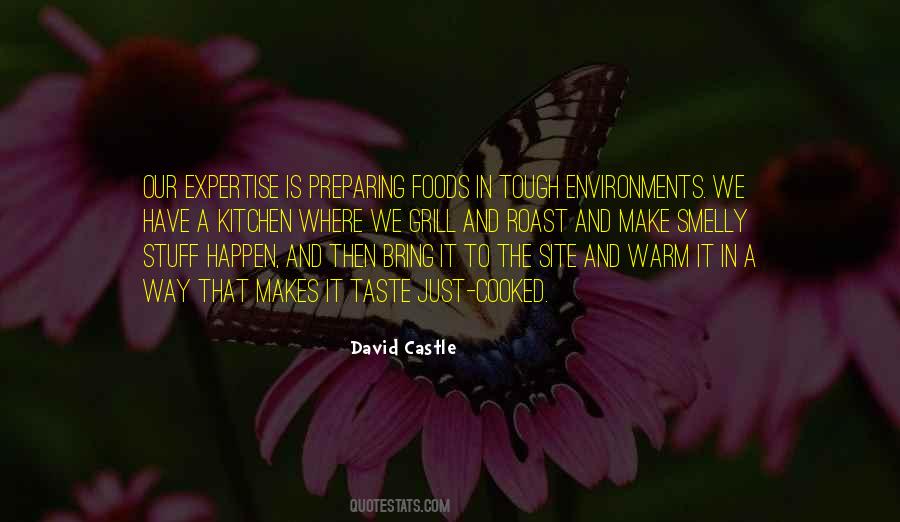 David Castle Quotes #1083110