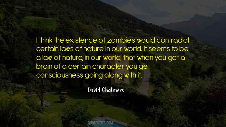 David Chalmers Quotes #1743507