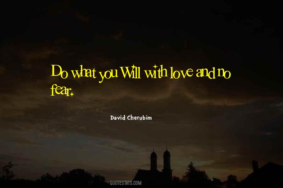 David Cherubim Quotes #289339