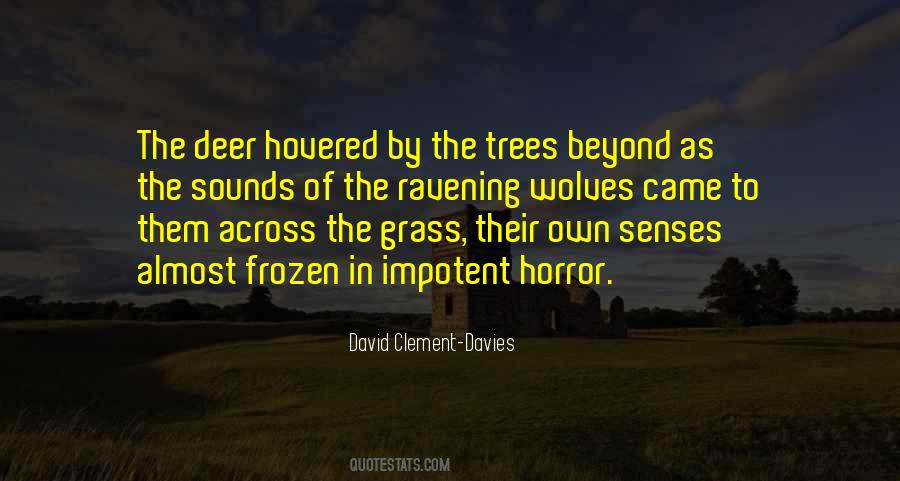 David Clement-Davies Quotes #200770