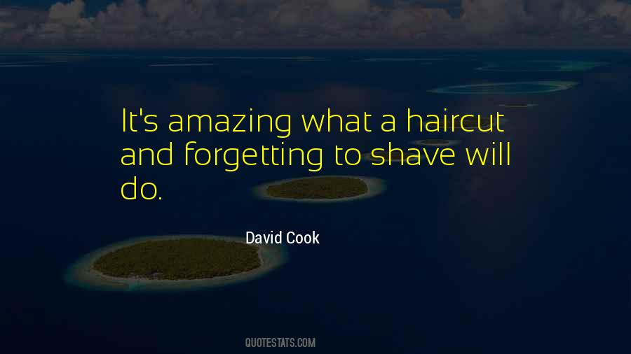 David Cook Quotes #1240314